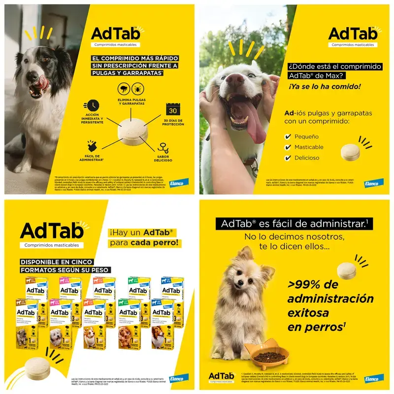 Adtab 900Mg Comprimidos Masticables Perros 22-45Kg, 2 Comprimidos - Image 9