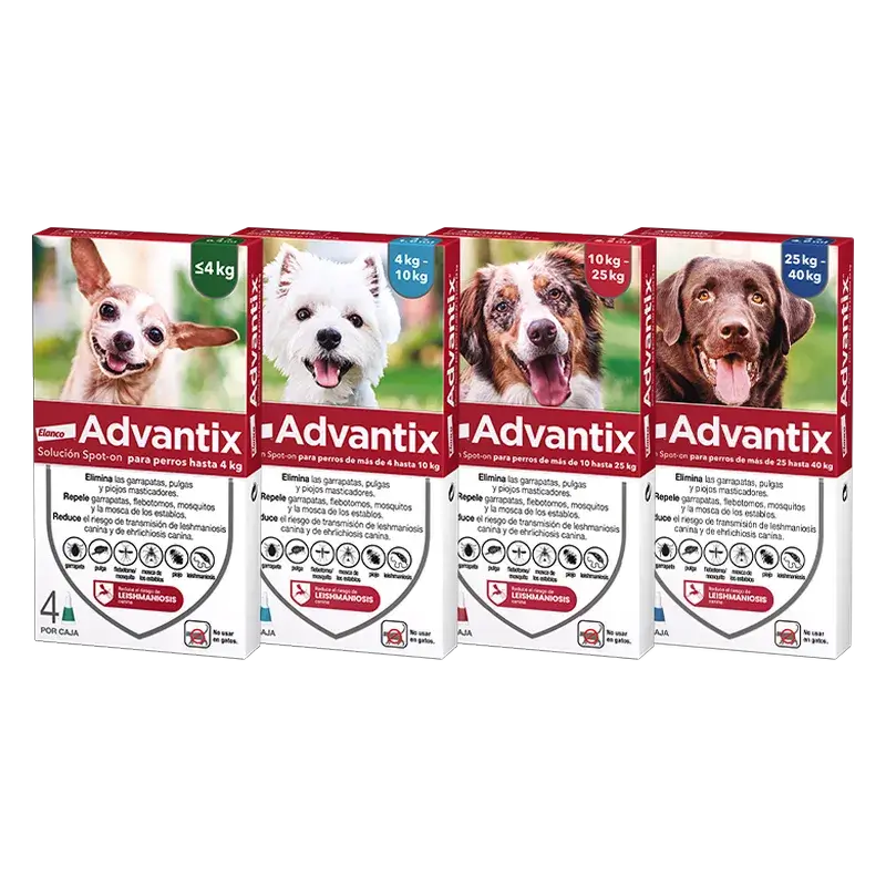 Advantix Pipeta Desparasitante Perros 4-10Kg, 1Ml - Image 4