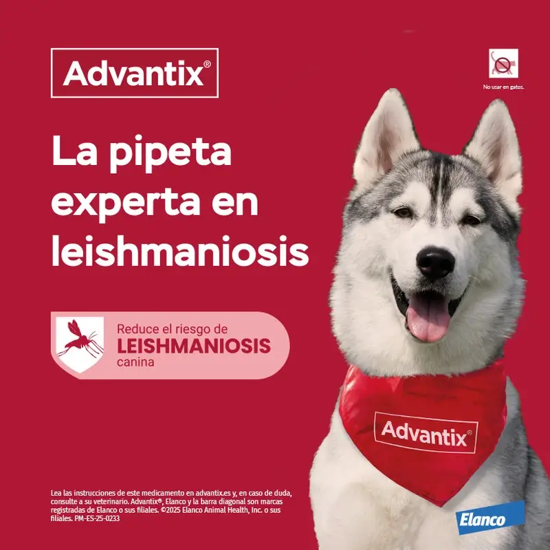 Advantix Pipeta Desparasitante Perros 4-10Kg, 1Ml - Image 5