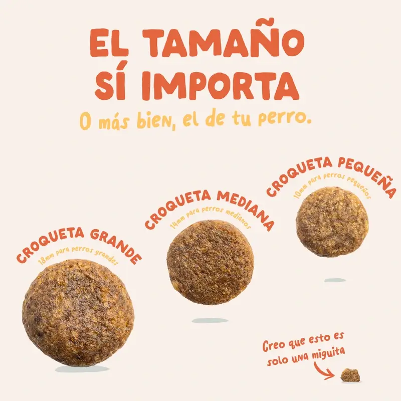 Edgard & Cooper Pienso Para Perros Adultos Medianos Con Pollo Fresco , 1 kg - Image 7