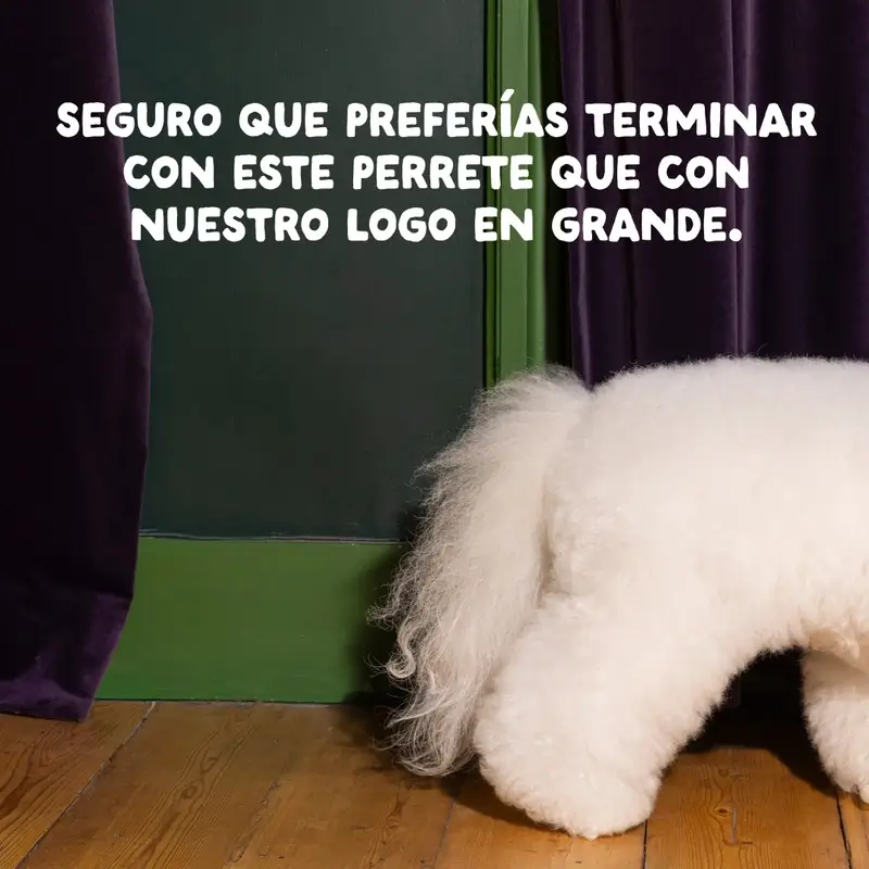 Edgard & Cooper Pienso Para Perros Adultos Medianos Con Pollo Fresco , 7 kg - Image 13