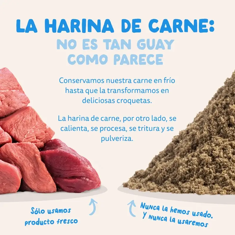Edgard & Cooper Pienso Para Perros Adultos Medianos Con Salmón Fresco , 1 kg - Image 11