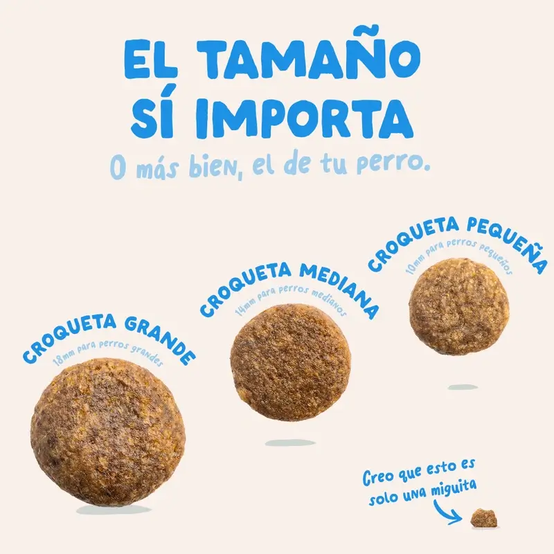 Edgard & Cooper Pienso Para Perros Adultos Medianos Con Salmón Fresco , 1 kg - Image 7