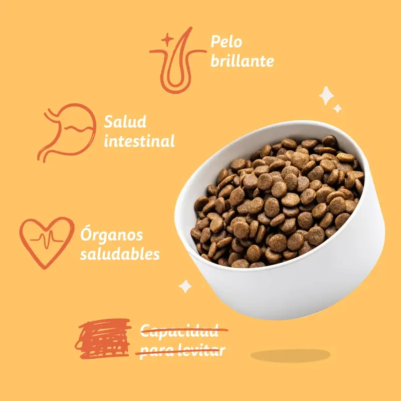 Edgard & Cooper Pienso Para Perros Adultos Mini Con Pollo Fresco , 3 kg - Image 7