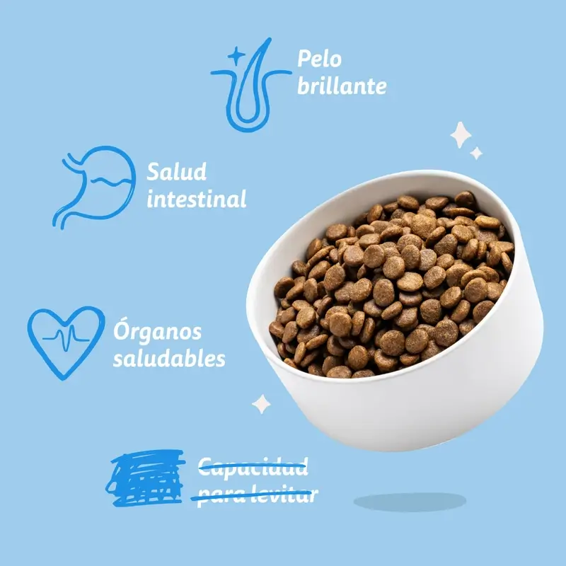 Edgard & Cooper Pienso Para Perros Adultos Mini Con Salmón Fresco , 0,7 kg - Image 9