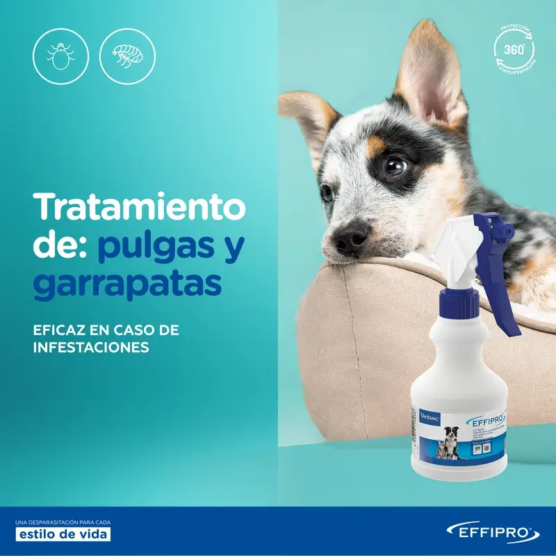Effipro Spray, 100 ml - Image 6