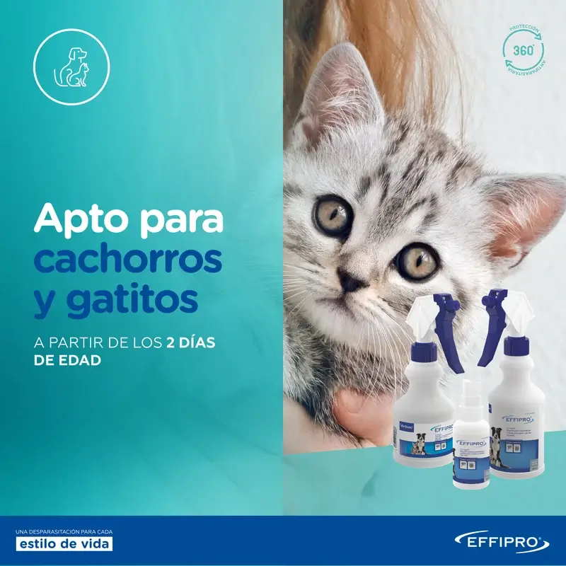 Effipro Spray, 100 ml - Image 7
