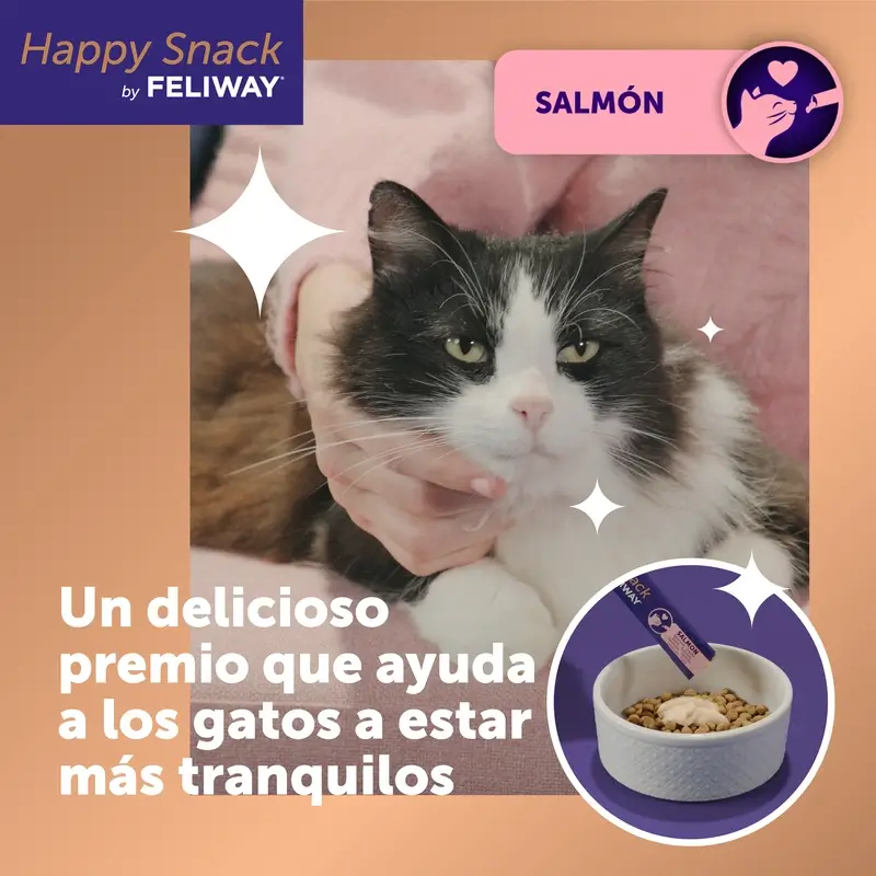 Feliway Happy Snack Sabor Salmón, 6 sobres - Image 2
