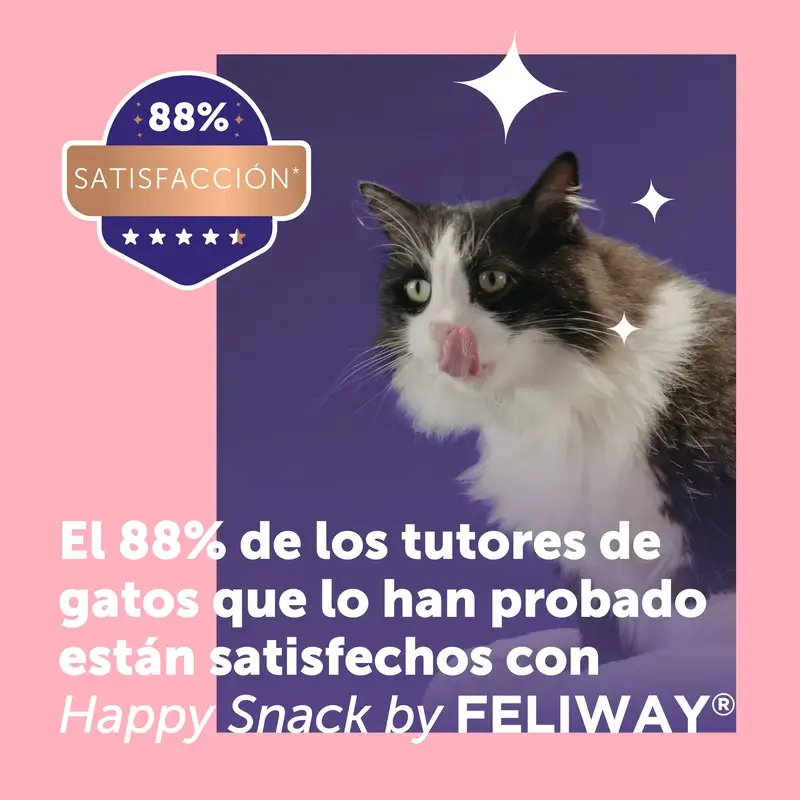 Feliway Happy Snack Sabor Salmón, 6 sobres - Image 4