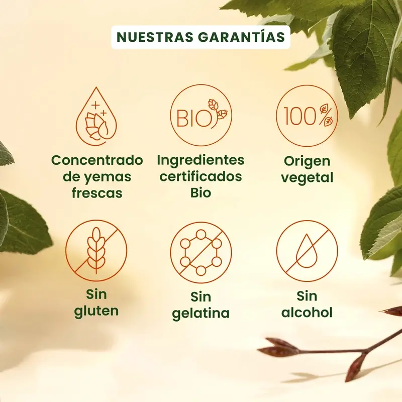 Herbalgem Gemmocaps Stress Protect Cognición, 30 cápsulas - Image 3