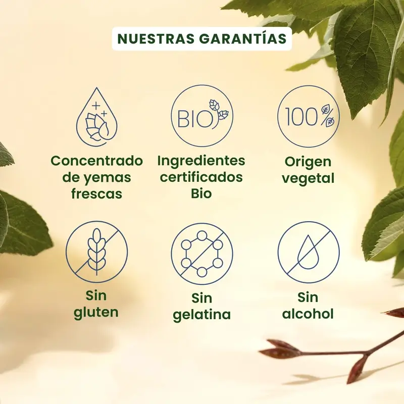 Herbalgem Gemmocaps Stress Protect Suelo, 30 cápsulas - Image 3