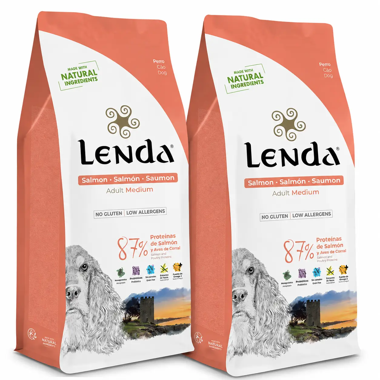 Lenda Perro Adulto Salmon, 2 X 2 kg