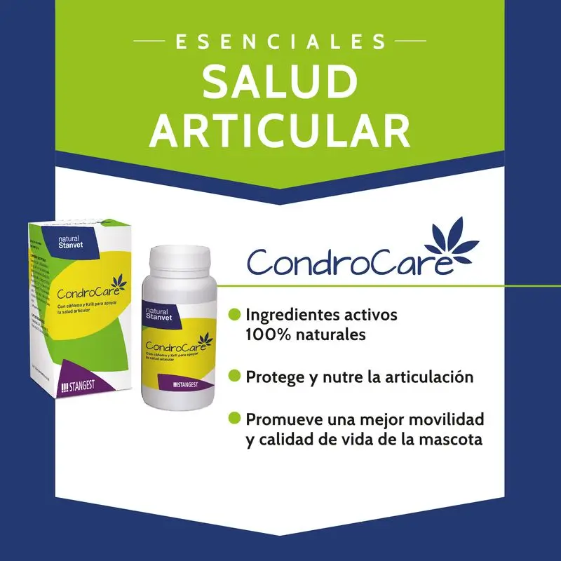 Stangest Condrocare 90 Comprimidos - Image 2