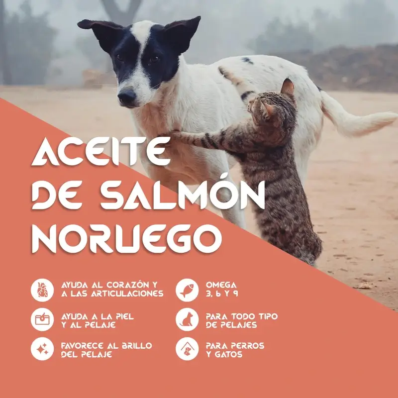 Togo Aceite De Salmon, 250 ml - Image 3