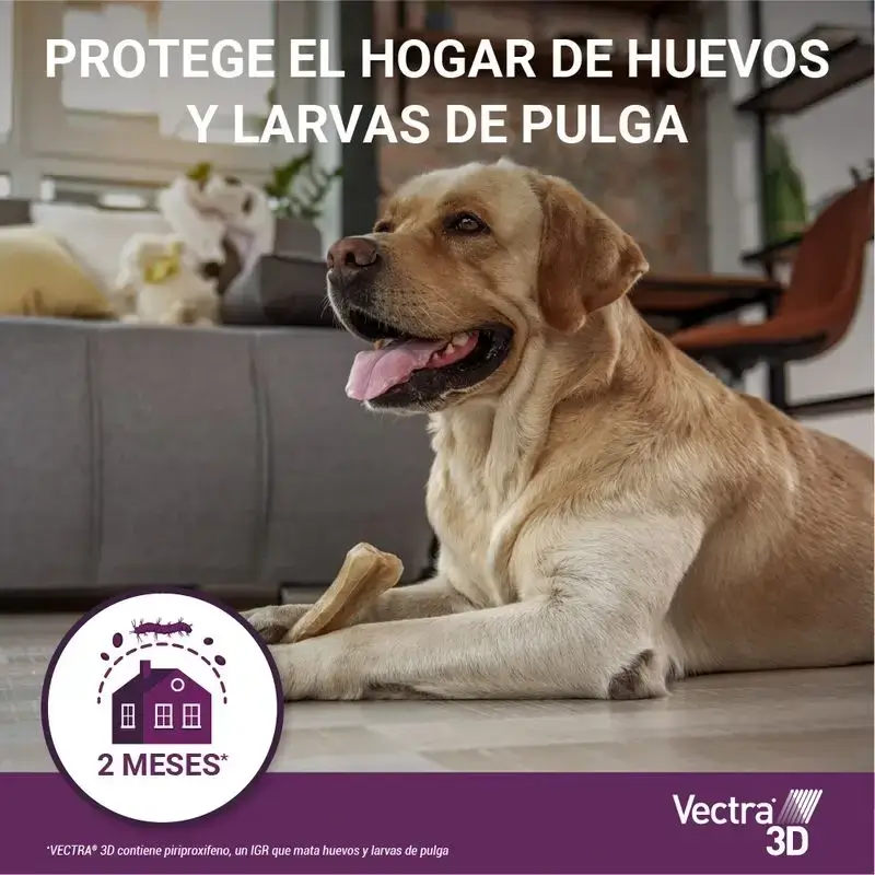 Vectra 3D Perro 1,5-4 Kg, Pack 2 x 3 Pipetas - Image 7