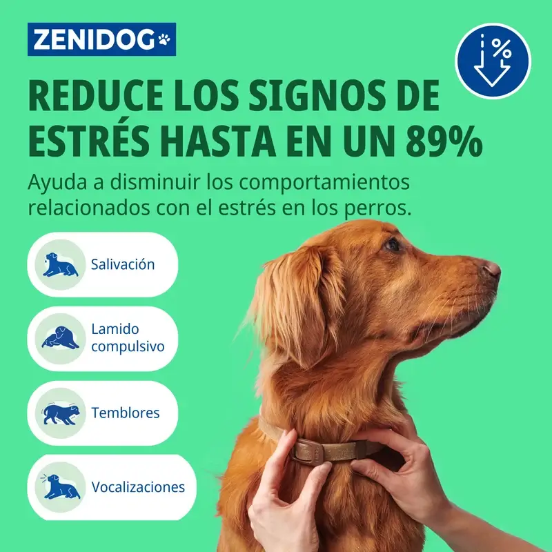 Virbac Zenidog Collar S  - Image 4