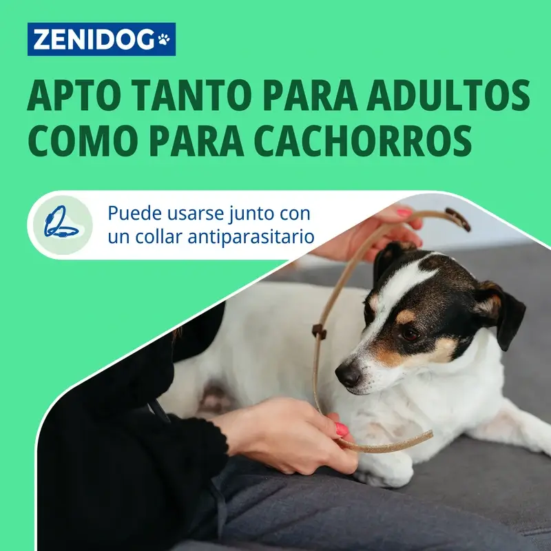 Virbac Zenidog Collar S  - Image 5